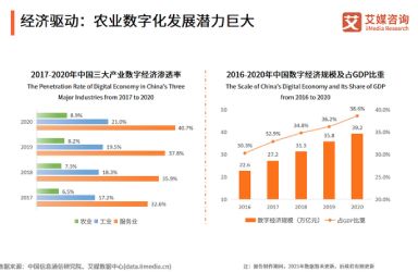 追梦中华·侨见自贸港:游戏从这里“出海”(图1)